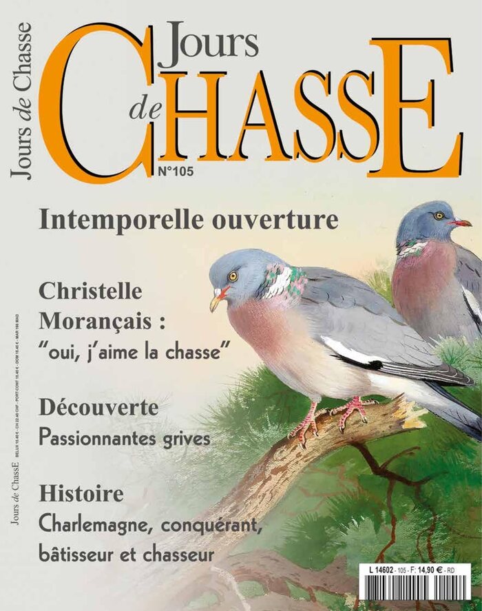 Couverture du numéro 105 de Jours de Chasse : deux pigeons ramiers peints sur une branche de pin