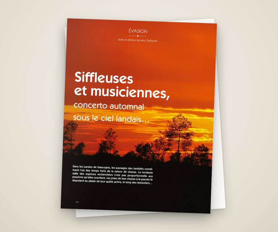 La page 92 du numéro 105 : ouverture du reportage « Siffleuses et musiciennes », un coucher de soleil sur les pins landais