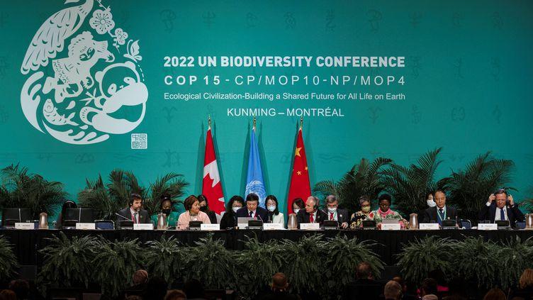 COP 15 Biodiversité Une étude scientifique contre le discours catastrophiste