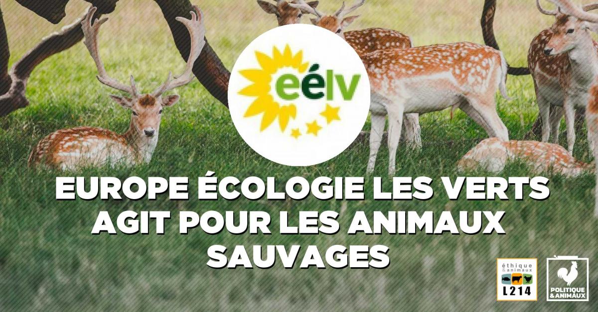 Le projet "Bien Vivre" d'EELV : "Respecter l'animal"