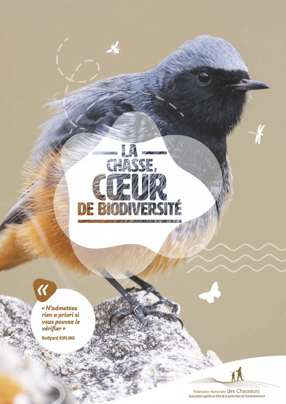 La Chasse, cœur de biodiversité : un « manifeste » de la FNC destiné aux élus
