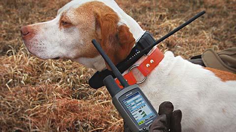 Repérage GPS pour chiens - Le-Chasseur